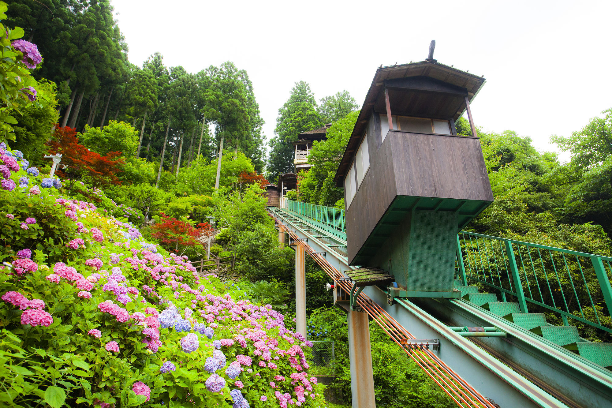 ホテルかずら橋 徳島市 エクステリア 写真
