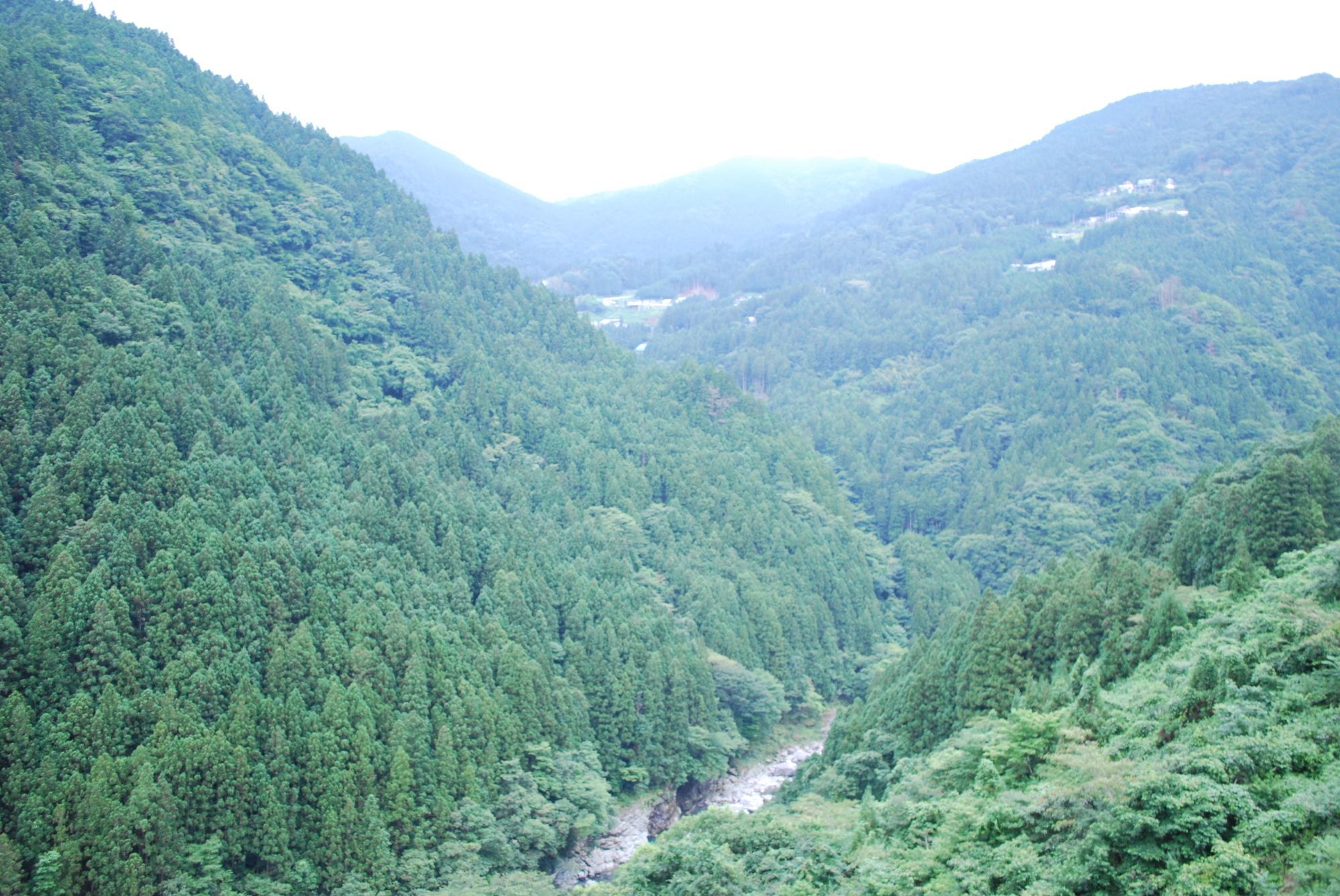 ホテルかずら橋 徳島市 エクステリア 写真